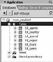  ASP (    IIS)