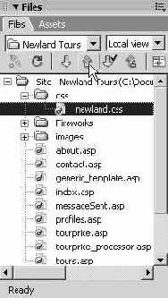     CSS